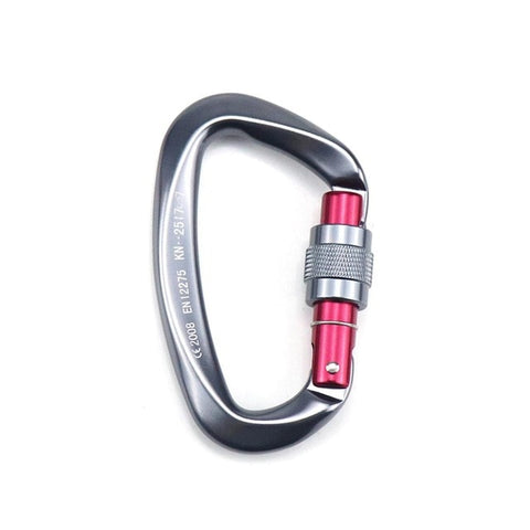 25KN Professional Climbing Carabiner D Shape Climbing Buckle Lock Security Safety Lock Outdoor Climbing Equipment Accessories