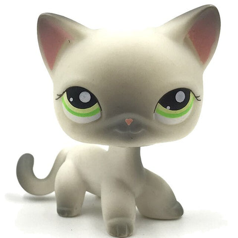 rare pet shop toys mini stands short hair kitten old figures collection original cute animal