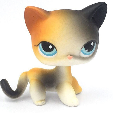 rare pet shop toys mini stands short hair kitten old figures collection original cute animal