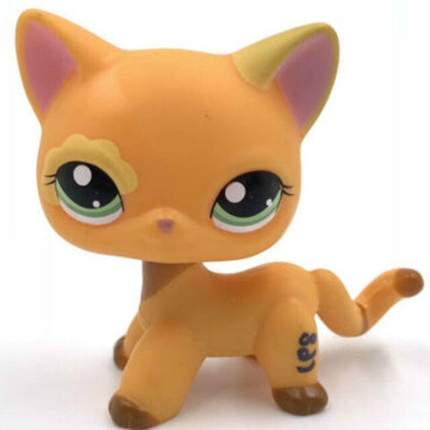 rare pet shop toys mini stands short hair kitten old figures collection original cute animal